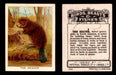 1923 Birds, Beasts, Fishes C1 Imperial Tobacco Vintage Trading Cards Singles #9 The Beaver  - TvMovieCards.com