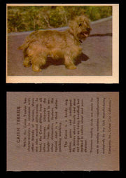 1957 Dogs Premiere Oak Man. R-724-4 Vintage Trading Cards You Pick Singles #1-42 #9 Cairn Terrier  - TvMovieCards.com