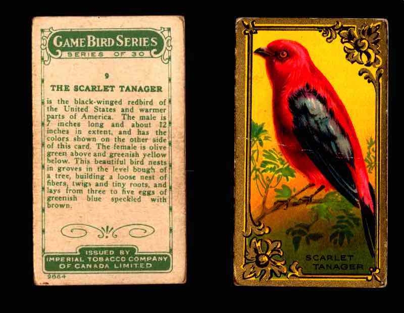 1910 Game Bird Series C14 Imperial Tobacco Vintage Trading Cards Singles #1-30 #9 The Scarlet Tanager  - TvMovieCards.com