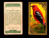 1910 Game Bird Series C14 Imperial Tobacco Vintage Trading Cards Singles #1-30 #9 The Scarlet Tanager  - TvMovieCards.com
