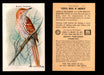 Birds - Useful Birds of America 10th Series You Pick Singles Church & Dwight J-9 #9 Brown Thrasher  - TvMovieCards.com