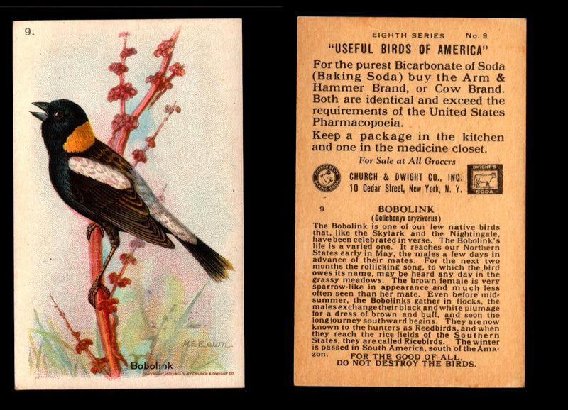 Birds - Useful Birds of America 8th Series You Pick Singles Church & Dwight J-9 #9 Bobolink  - TvMovieCards.com