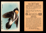 Birds - Useful Birds of America 9th Series You Pick Singles Church & Dwight J-9 #9 Bobolink  - TvMovieCards.com