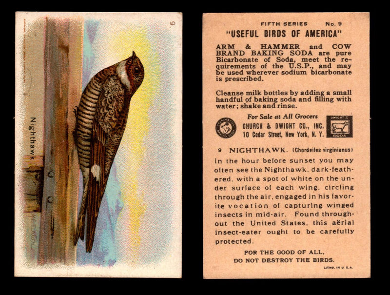 Birds - Useful Birds of America 5th Series You Pick Singles Church & Dwight J-9 #9 Nighthawk  - TvMovieCards.com