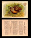 1904 Arm & Hammer Game Bird Series Vintage Trading Cards Singles #1-30 #9 Woodcock  - TvMovieCards.com