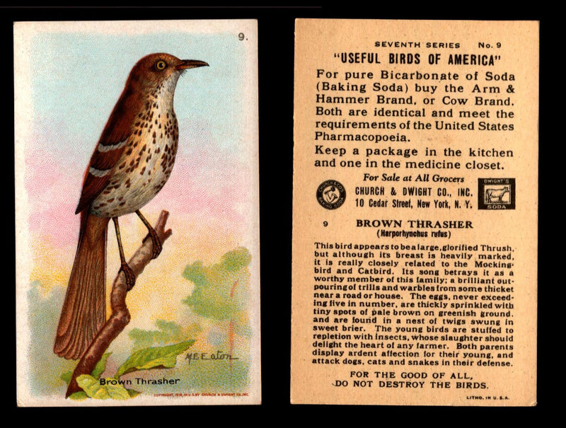 Birds - Useful Birds of America 7th Series You Pick Singles Church & Dwight J-9 #9 Brown Thrasher  - TvMovieCards.com