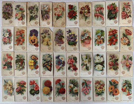 Beautiful Flowers 40 different Cards Small size Arm & Hammer 1888 J16 New series Church & Co.   - TvMovieCards.com