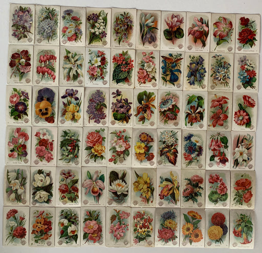 Beautiful Flowers 60 Card Set Arm & Hammer 1888 J16 New series Church & Co.   - TvMovieCards.com