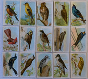 Birds Useful Birds of America 5th 15 Card Set Type 3 Church & Dwight J-9   - TvMovieCards.com
