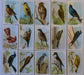 Birds Useful Birds of America 5th 15 Card Set Type 3 Church & Dwight J-9   - TvMovieCards.com