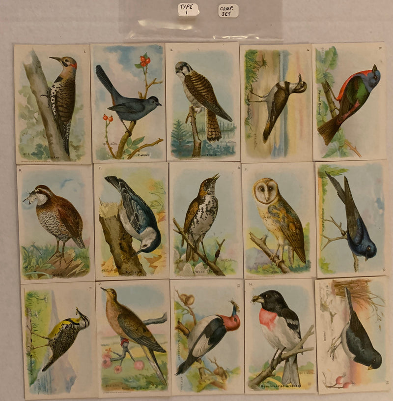 Useful Birds of America 6th 15 Card Set Type 1 Church & Dwight J-9 Arm & Hammer   - TvMovieCards.com