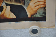 Too Many Blondes 1941 Original Half Sheet Movie Poster Rudy Vallee Helen Parrish   - TvMovieCards.com