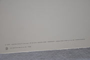 Aristide Maillol "Nu De Dos - Resting Nude" Lithograph Art Print 14 x 20   - TvMovieCards.com