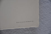 Aristide Maillol "Nu De Dos - Resting Nude" Lithograph Art Print 14 x 20   - TvMovieCards.com