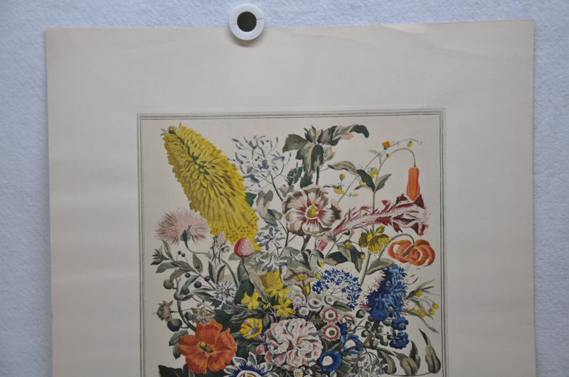 Rob Furber Gardiner of Kensington "August" Lithograph Art Print 18 x 24   - TvMovieCards.com