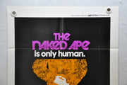 1973 The Naked Ape Original 1SH Movie Poster 27 x 41 Johnny Crawford Principal   - TvMovieCards.com