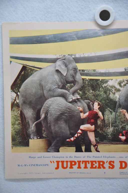 Jupiter's Darling Lobby Card #7 Movie Poster Esther Williams, Howard Keel   - TvMovieCards.com