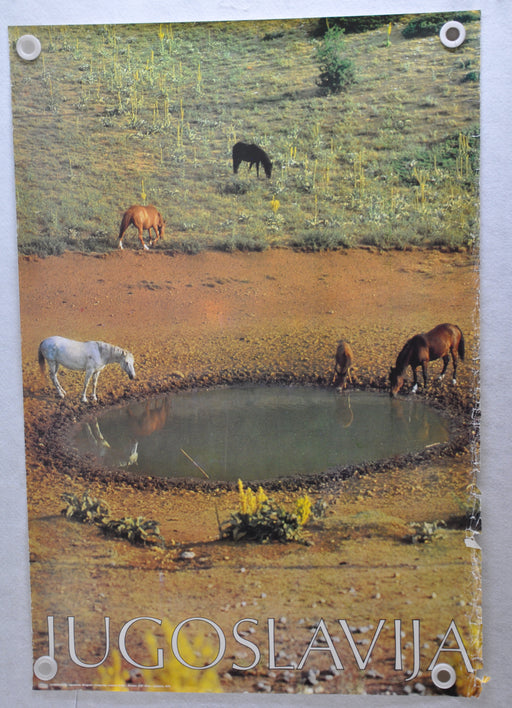 Vintage 1979 Yugoslavia Travel Poster "Wild Horses" 26.5" x 38.5"   - TvMovieCards.com