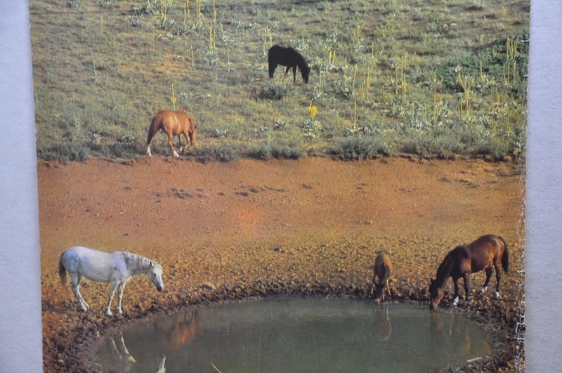 Vintage 1979 Yugoslavia Travel Poster "Wild Horses" 26.5" x 38.5"   - TvMovieCards.com