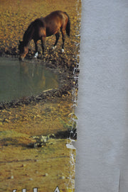 Vintage 1979 Yugoslavia Travel Poster "Wild Horses" 26.5" x 38.5"   - TvMovieCards.com
