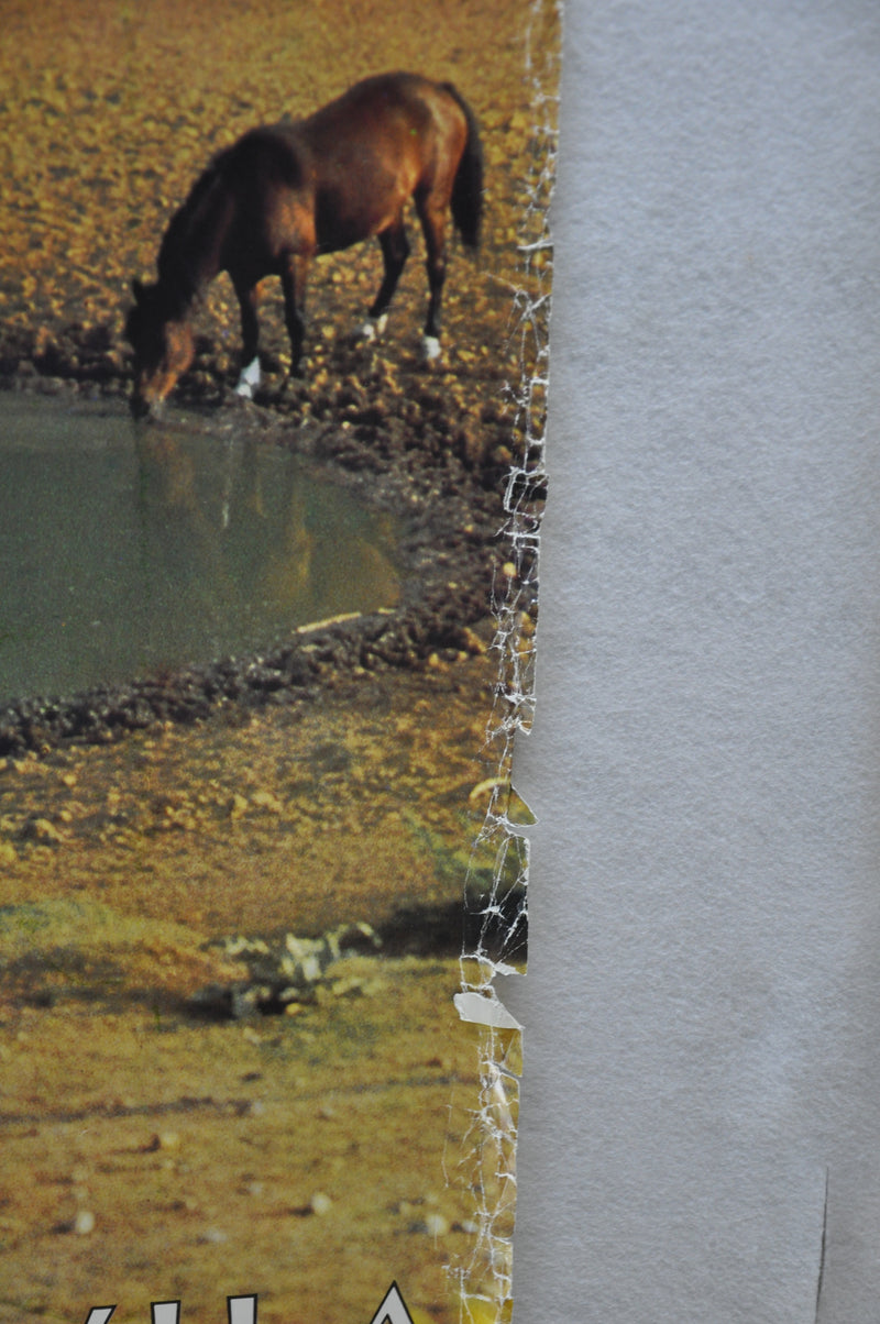 Vintage 1979 Yugoslavia Travel Poster "Wild Horses" 26.5" x 38.5"   - TvMovieCards.com