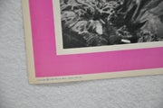 Kona Coast 1968 Lobby Card #1 Movie Poster Richard Boone Vera Miles Joan Blondel   - TvMovieCards.com