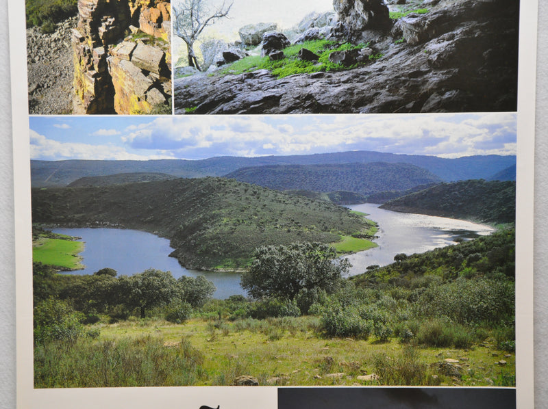 Vintage 1970s Spain Travel Poster Espana Parque Natural De Monfrague Extremadura   - TvMovieCards.com