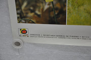 Vintage 1970s Spain Travel Poster Espana Parque Natural De Monfrague Extremadura   - TvMovieCards.com