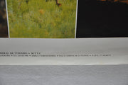 Vintage 1970s Spain Travel Poster Espana Parque Natural De Monfrague Extremadura   - TvMovieCards.com