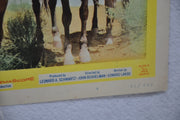 The Broken Land 1962 Lobby Card #4 Movie Poster Kent Taylor, Diana Darrin   - TvMovieCards.com