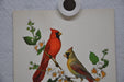 Cardinal on Mockorange Rudolf Freund Birds Lithograph Art Print 6 x 8   - TvMovieCards.com