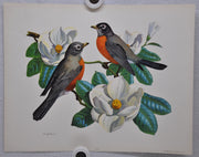 Robin on Magnolia Rudolf Freund Birds Lithograph Art Print 11 x 14   - TvMovieCards.com