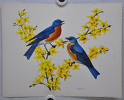 Bluebird on Forsythia Rudolf Freund Birds Lithograph Art Print 11 x 14   - TvMovieCards.com