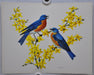 Bluebird on Forsythia Rudolf Freund Birds Lithograph Art Print 11 x 14   - TvMovieCards.com