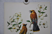 Cedar Waxwing Rudolf Freund Birds Lithograph Art Print 11 x 14   - TvMovieCards.com