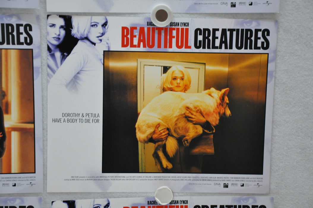 2000 Beautiful Creatures Lobby Card Set of 8 11 x 14 Rachel Weisz Susan Lynch   - TvMovieCards.com