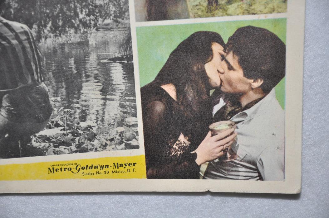 Harum Scarum 1965 Mexican Lobby Card Movie Poster Elvis Presley #2   - TvMovieCards.com
