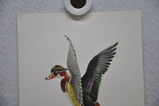 E Serton Wild Duck Lithograph Art Print 6 x 8 Serine Made in USA   - TvMovieCards.com