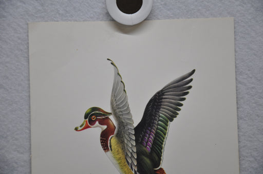 E Serton Wild Duck Lithograph Art Print 6 x 8 Serine Made in USA   - TvMovieCards.com