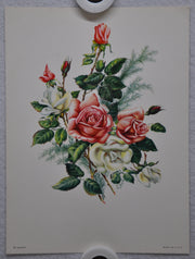 E Serton Pink & White Roses Lithograph Art Print 6 x 8 Serine Made in USA   - TvMovieCards.com