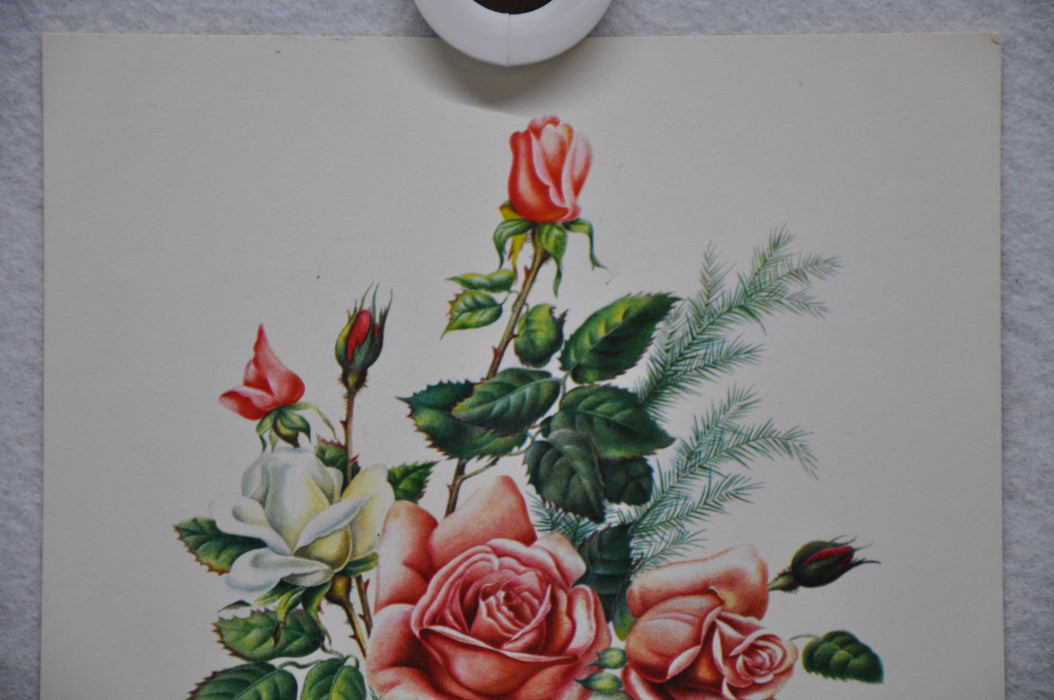 E Serton Pink & White Roses Lithograph Art Print 6 x 8 Serine Made in USA   - TvMovieCards.com