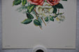 E Serton Pink & White Roses Lithograph Art Print 6 x 8 Serine Made in USA   - TvMovieCards.com