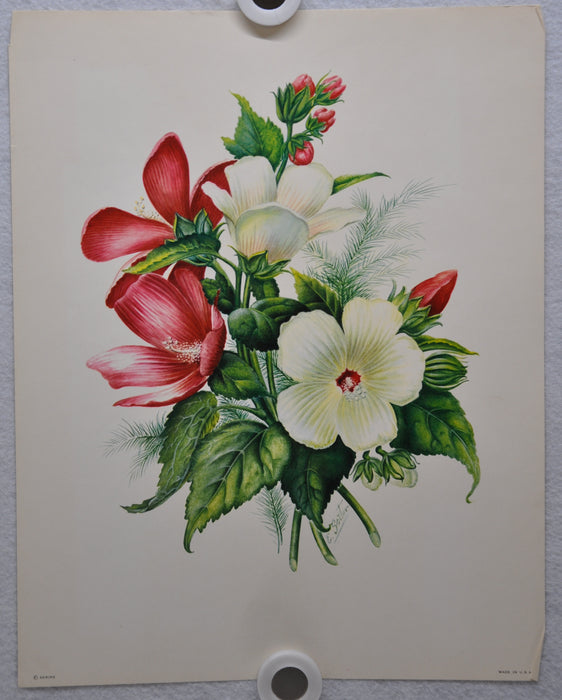 E Serton Pink & White Flowers Lithograph Art Print 11 x 14 Serine Made in USA   - TvMovieCards.com