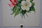 E Serton Pink & White Flowers Lithograph Art Print 11 x 14 Serine Made in USA   - TvMovieCards.com