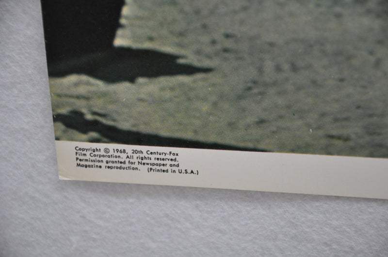 1968 Lady In Cement Lobby Card 11 x 14 Frank Sinatra, Raquel Welch, Richard Cont   - TvMovieCards.com