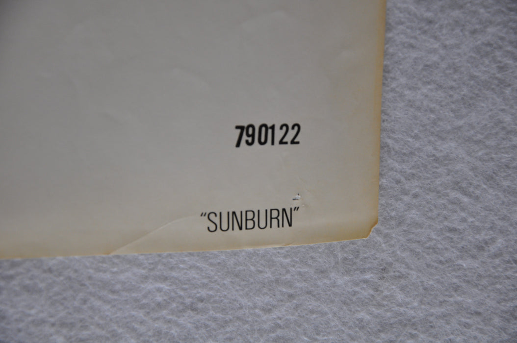 1979 Sunburn Original 1SH Movie Poster Farrah Fawcett Charles Grodin Art Carney   - TvMovieCards.com