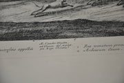 F Vander Meauten "Veue du Chasteau de Fontaine bleau du coste " Etching Print   - TvMovieCards.com