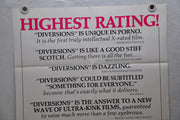 1976 Diversions Original 1SH Movie Poster 27 x 41 Heather Deeley Derek Martin   - TvMovieCards.com