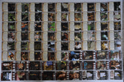 2006 Lost Season Two 2 Inkworks Trading Base Card Set 90 Cards   - TvMovieCards.com