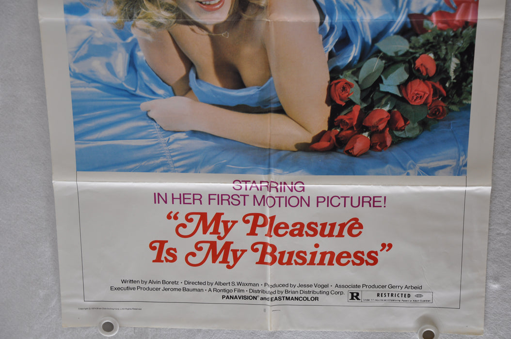 1975 My Pleasure is My Business Original 1SH Movie Poster Xaviera Hollander   - TvMovieCards.com